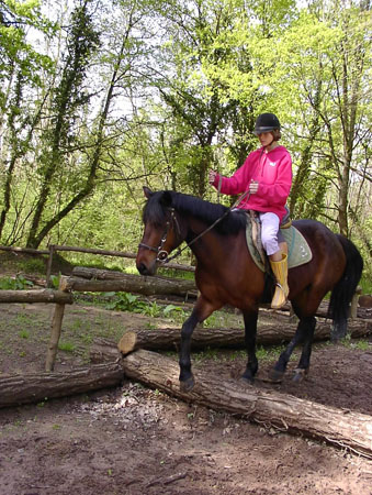 Schon gela_ndega_ngig_